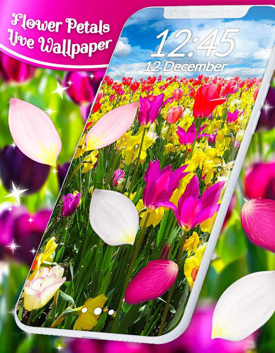 Spring Petals Live Wallpaper ❤️ Flower Wallpapers screenshot 6