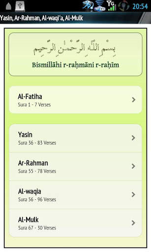 Yasin Audio (Abdul basit) screenshot 2