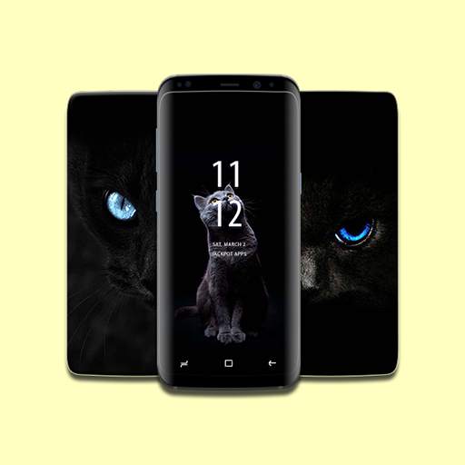Black HD Wallpaper 1.0