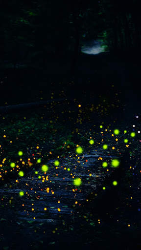 Firefly APUS Live Wallpaper screenshot 4