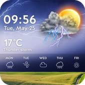 Weather forecast 51