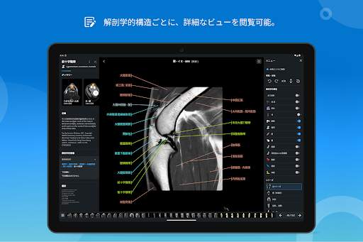 vet-Anatomy screenshot 13