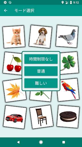 Brain game. Picture Match. screenshot 2