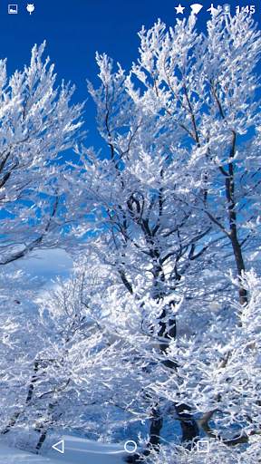 Magic Winter Live Wallpaper screenshot 5