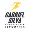 Gabriel Silva 3.3.1