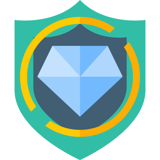 Premium VPN icon