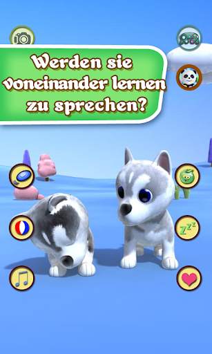 Im Gespräch Husky screenshot 3