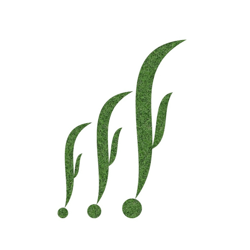 E-mandi icon