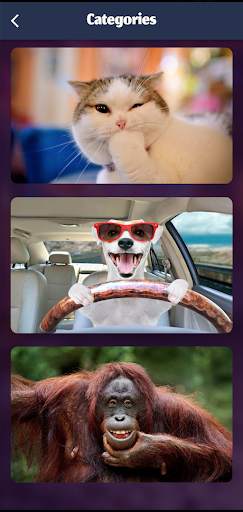 Funny Video Clips screenshot 7
