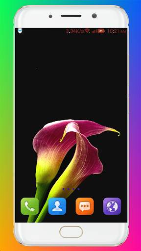 Purple Flower Wallpaper screenshot 4