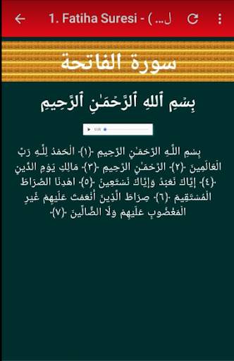 Kur'an-ı Kerim screenshot 5