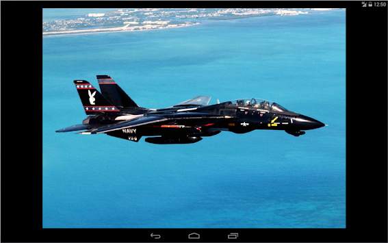 F-14 Live Wallpaper Lite screenshot 10