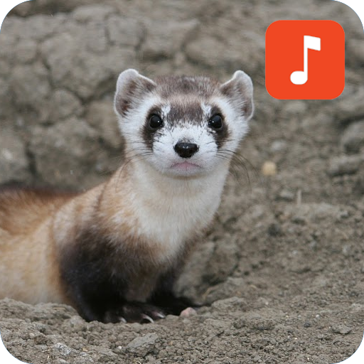 Ferret Sound Effects icon
