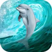 Dolphin in the sea live wallpaper 1.0