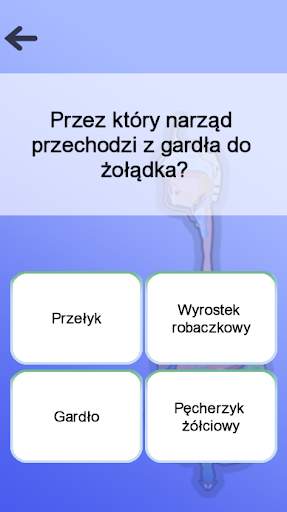 Anatomia screenshot 5