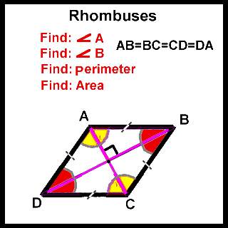 Geometry Calculator screenshot 8