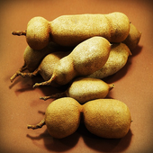 Tamarind For Health icon