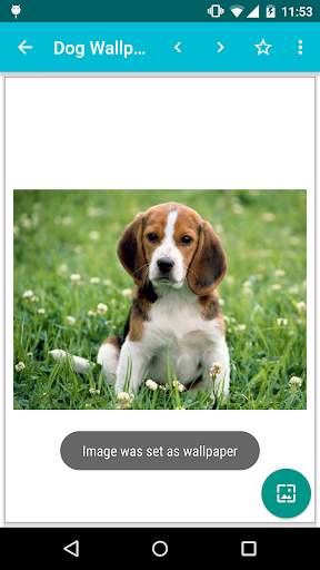 Dog Wallpapers! screenshot 4