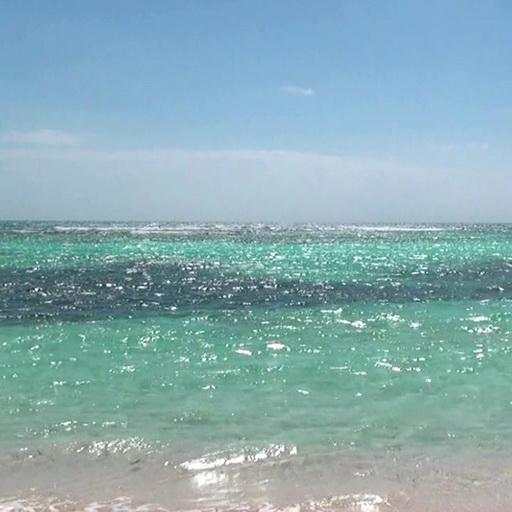 Hot summer and the sea 1.3