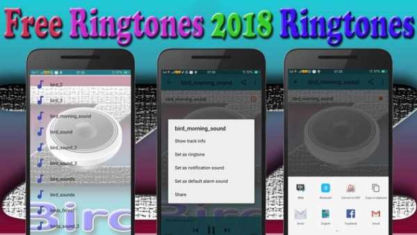 Mosquito Ringtones screenshot 2