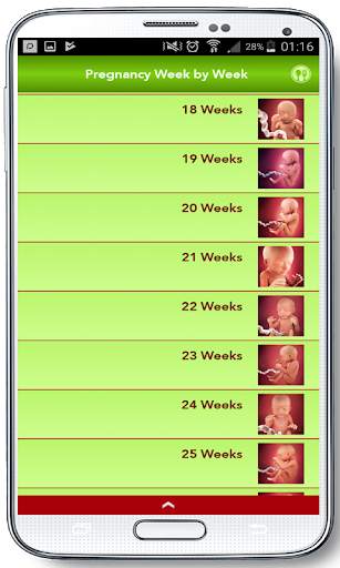 Pregnancy Week by Week 2019 screenshot 9