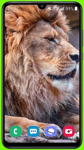 Lion Wallpaper Best HD screenshot 9