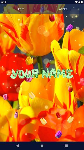 Tulip Spring 4K Wallpapers screenshot 2
