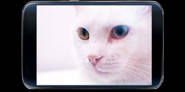 camera for android screenshot 1