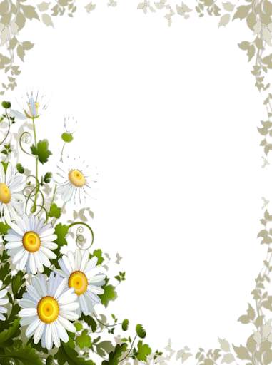 Flowers Photo Frames HD screenshot 3