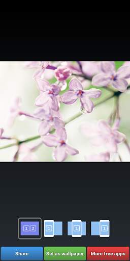 Lilac Wallpapers screenshot 2