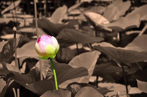 PhotoX screenshot 17