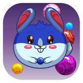 Mini Rabbit