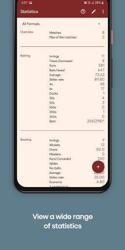 Cricket Career Statistics Tracker screenshot 1