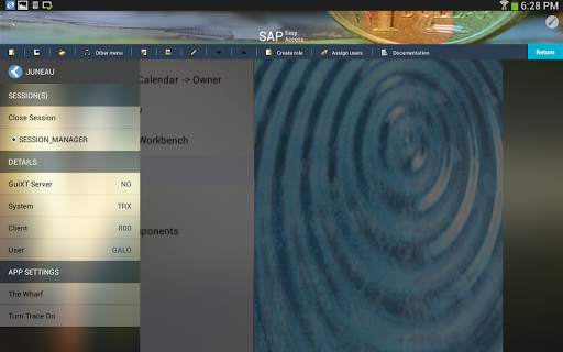 Liquid UI Client for SAP screenshot 19