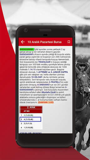 Ganyan Portal - At Yarışı Tahmin Analiz screenshot 5
