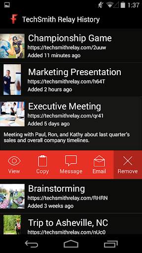 TechSmith Fuse screenshot 6