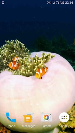 Sea Life 3D Video Wallpaper screenshot 2