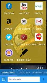 lite browser screenshot 1