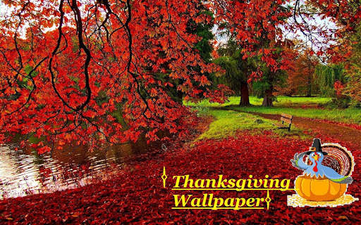 3D Thanksgiving Wallpapers screenshot 4