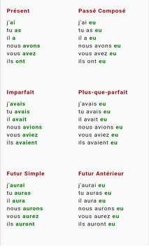 conjugaison francaise screenshot 2