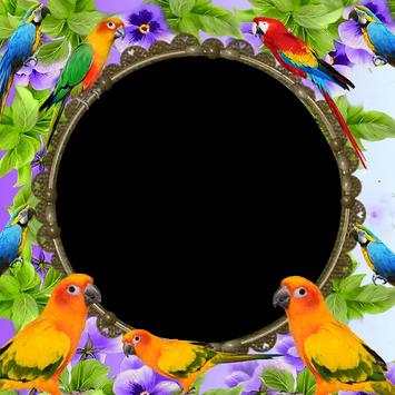 Parrot Photo Frame screenshot 8