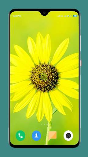 Flowers Wallpaper 4K 1 تصوير الشاشة