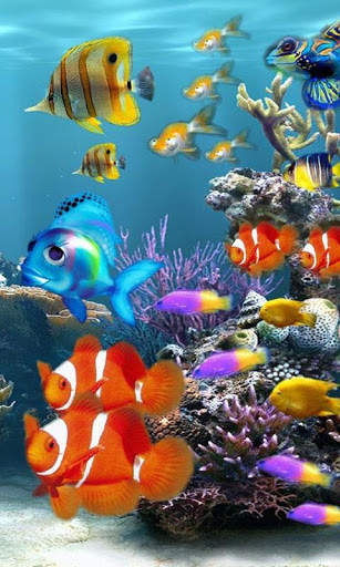 Aquarium Live Wallpapers screenshot 3