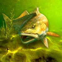 My Fishing World logo