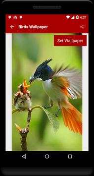 Birds Wallpaper screenshot 3