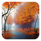Autumn 1.1.1