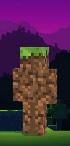 Block Skin For Minecraft screenshot 3
