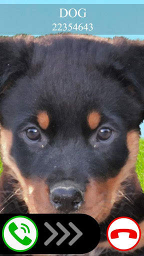 chamada falsa cachorro jogo screenshot 3