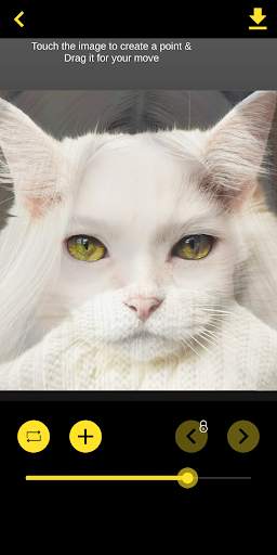 Face Swap & Morph Animation Maker screenshot 7