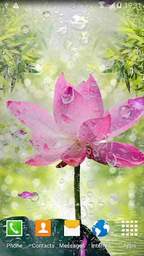 Garden Zen Live Wallpaper screenshot 6